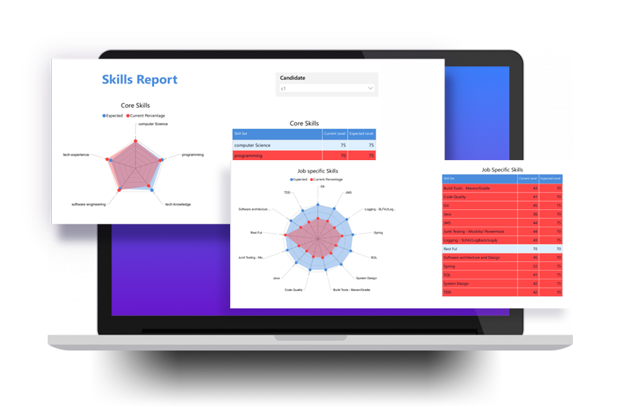 Reports and Dashboards ​